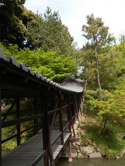 kyoto2014050412.jpg