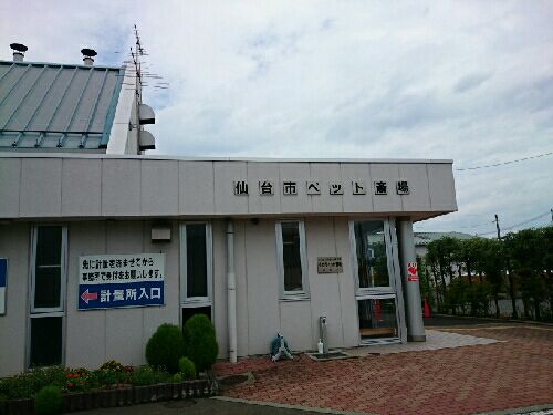 rblog-20150725121913-00.jpg