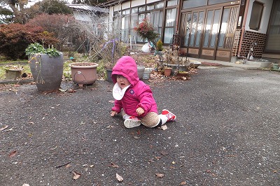 DSCF6704.jpg
