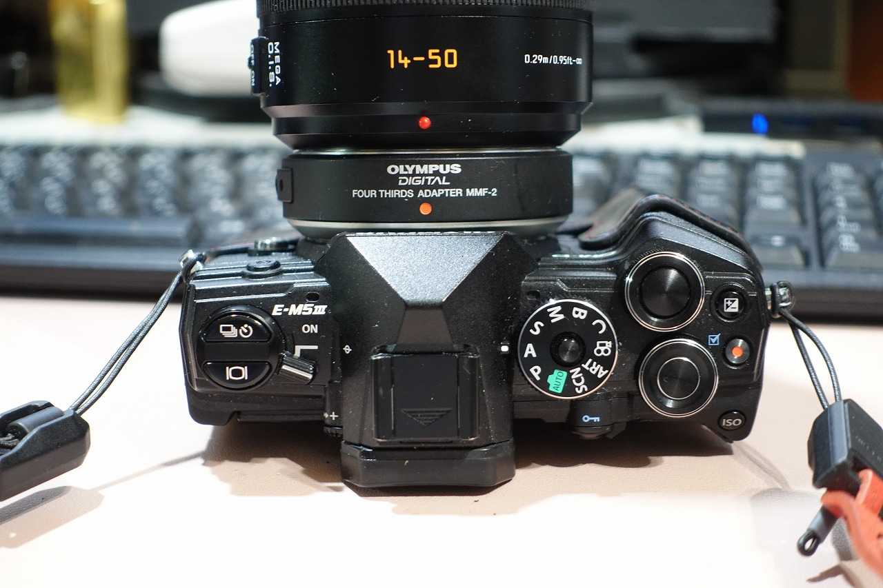 結局 D VARIO-ELMAR 14-50/3.8-5.6 MEGA O.I.S. をゲット
