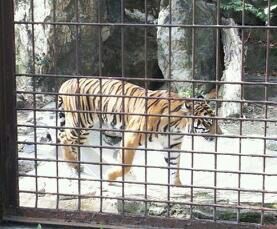 rblog-20140401151501-01.jpg