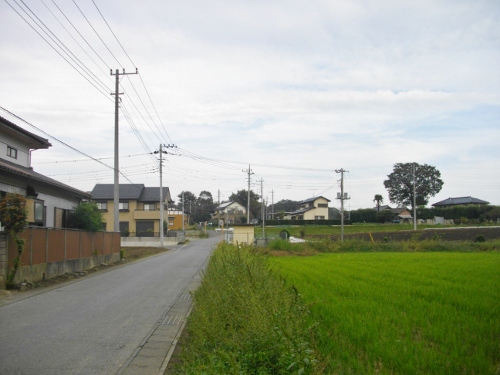 平将門島広山遠景 (500x375).jpg