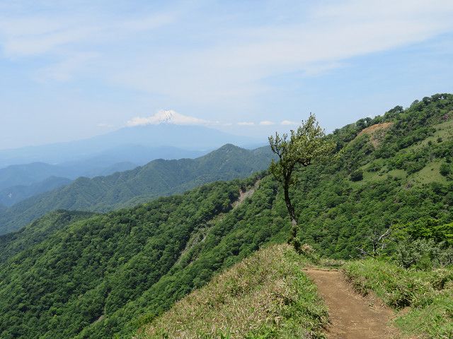 丹沢登山（3）丹沢山山頂→蛭ヶ岳山頂 | 星とカワセミ好きのブログ - 楽天ブログ