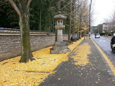 京都　今宮神社