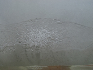 水槽10