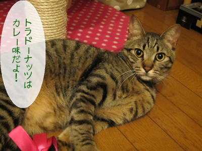 20121218112445_w_400_h_300_9548928.jpg