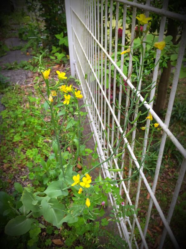 rblog-20160426005907-04.jpg