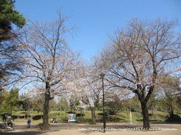 別れた後に本物のプロポーズを伴うスパイダーマン ゲームが登場