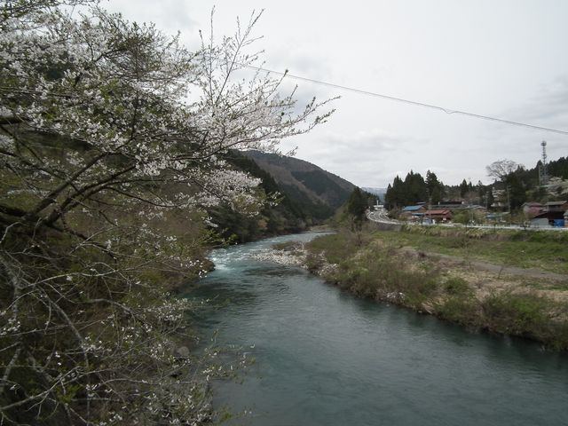 DSCF3715.JPG