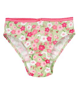 Cherry Blossom Panty.jpg
