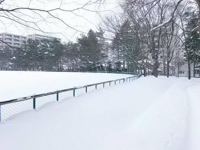 P1190010.JPG