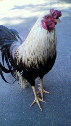 2012040115550000.jpg