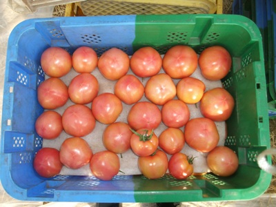 DSCF2580（写真2）.JPG