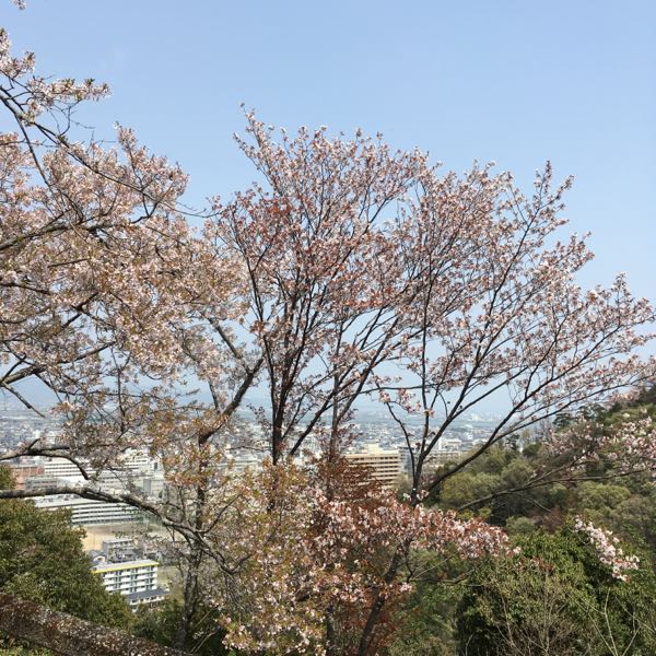 rblog-20180402185409-01.jpg