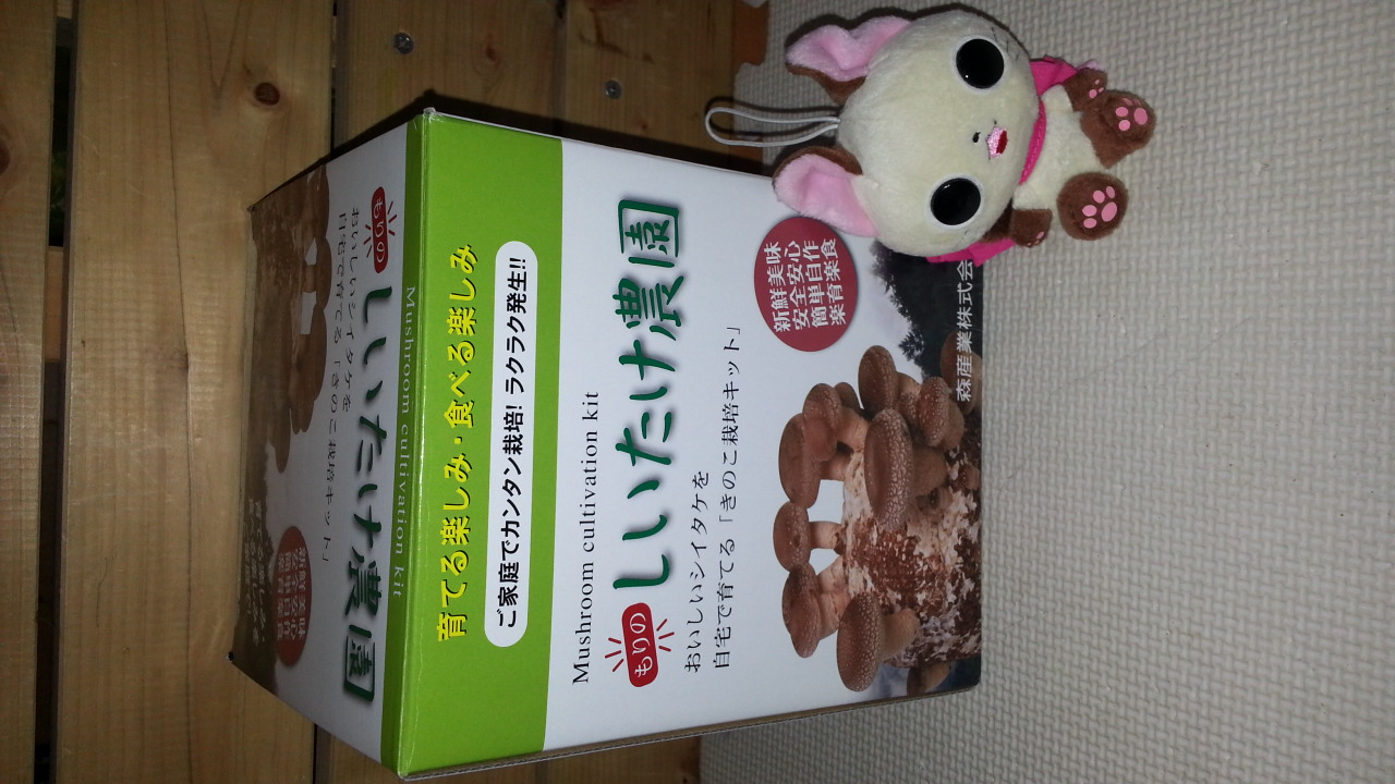 椎茸栽培キッド