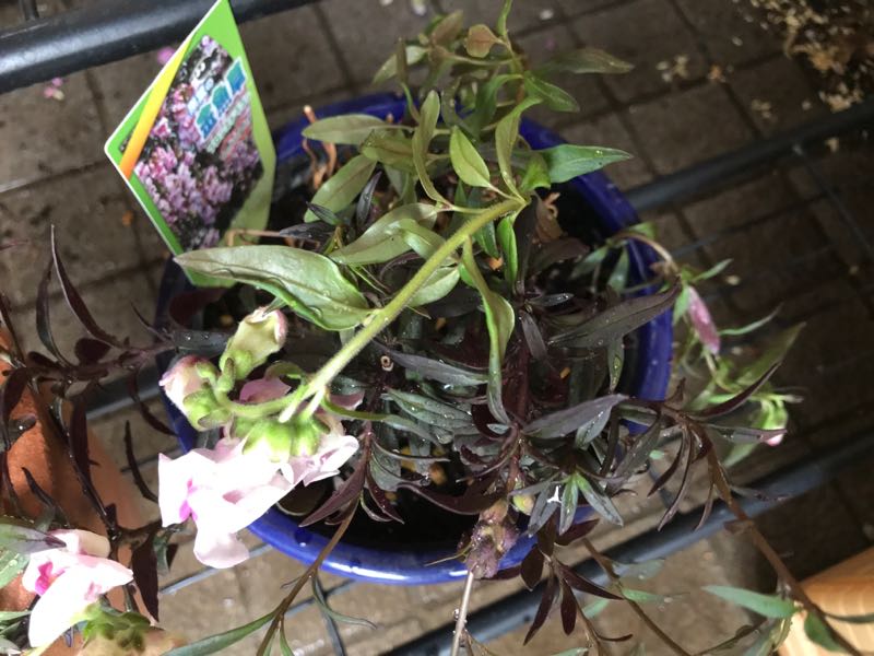 rblog-20180429183115-03.jpg
