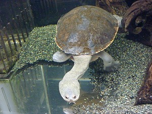 20141129(16).jpg
