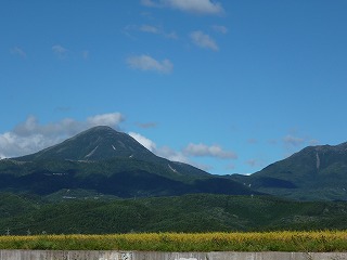 P1000496ss.jpg