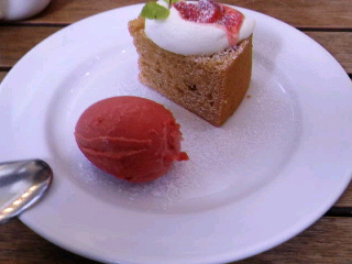 DOLCE