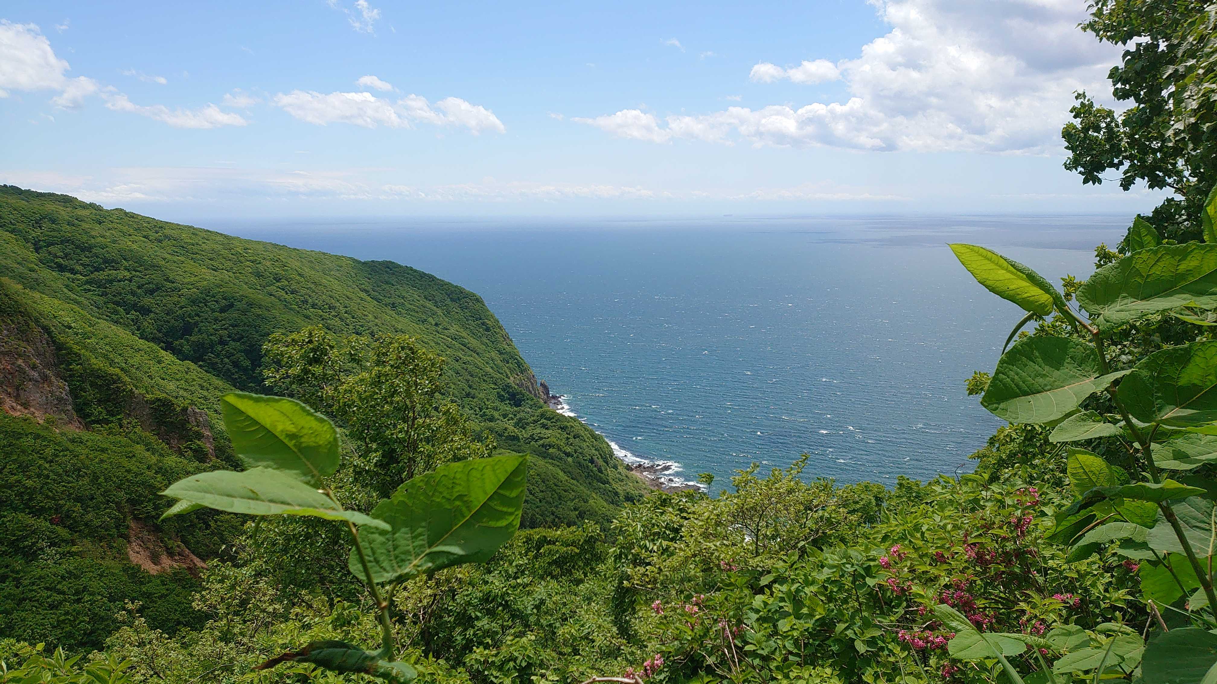 青と空💙緑と森🌱