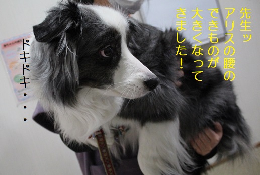 ドキドキ