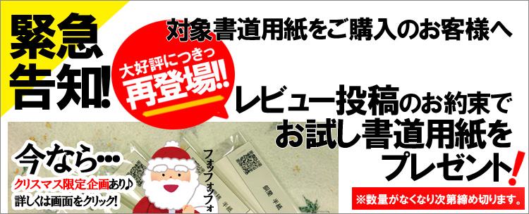【再登場カット】クリスマス.jpg