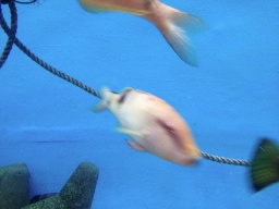 IMG_0405.jpg