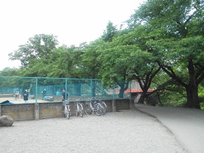 DSC_1310.jpg