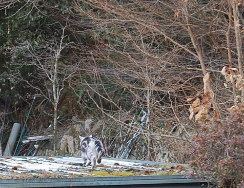 DSC_0056.JPG