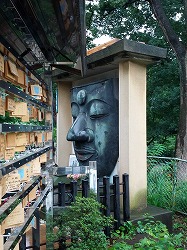 横顔.jpg