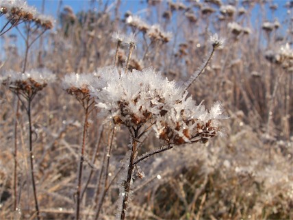 DSCF1873.JPG