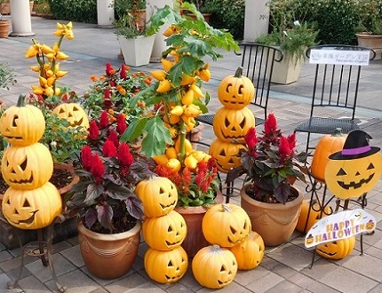フラリエ　ハロウィン