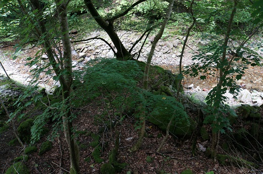 DSC05180.JPG