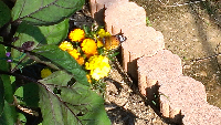rblog-20130526163612-02.png