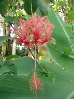 10.14 huurinn bussouge.jpg