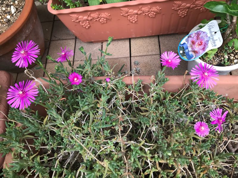 rblog-20180531150337-06.jpg