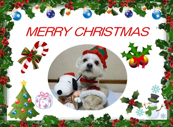 2012クリスマス_ひっきー０８さん