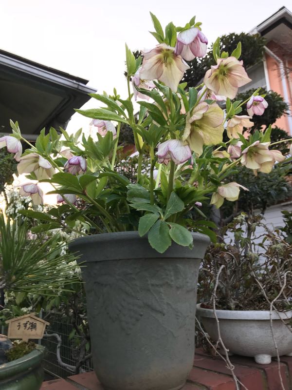 rblog-20180325191201-02.jpg