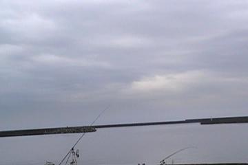 naoetu