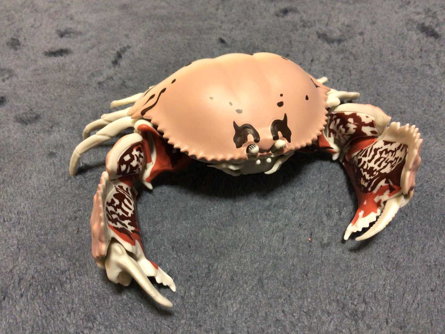 21年3月13日 カニ 天井無しの一直線 続 楽天ブログ