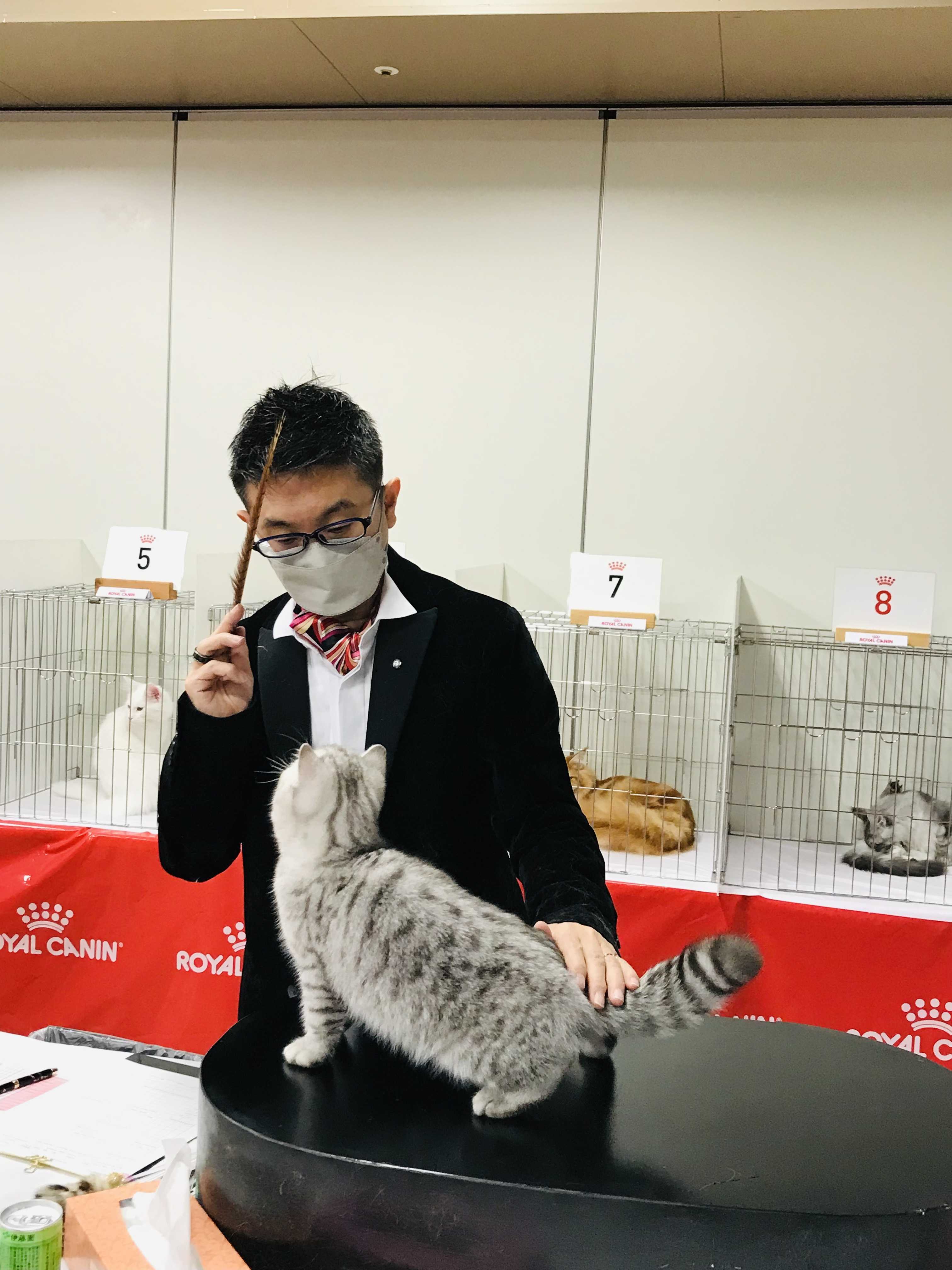 JAPAN REGIONAL CAT SHOW Cattery PETITANGEのブログ 楽天ブログ