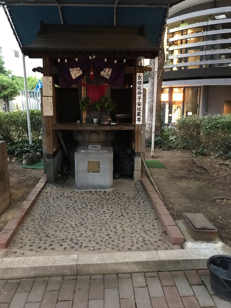 腓骨骨折野郎の公園ブログ 楽天ブログ