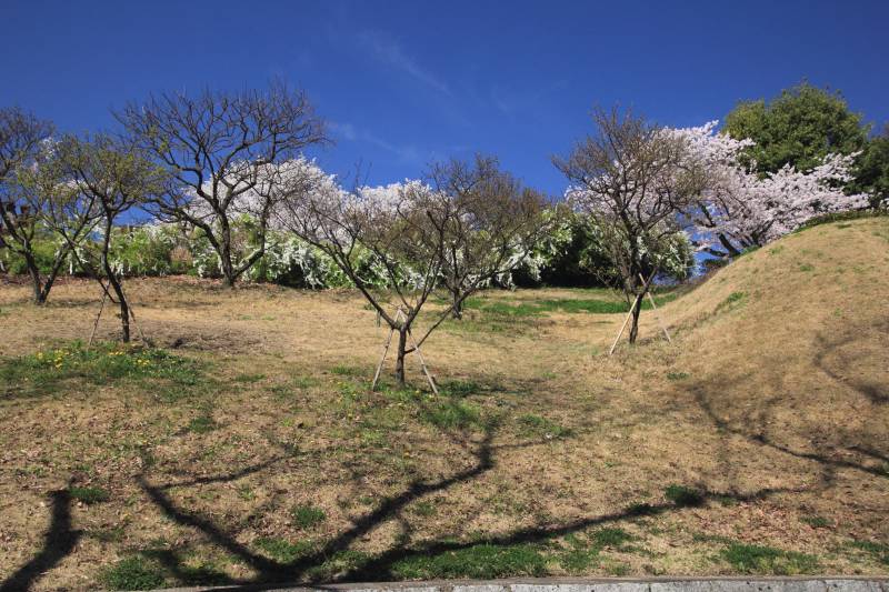 万博記念公園_004.jpg