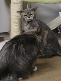 5DA_7037-16.jpg