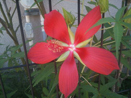 rblog-20140806133703-02.jpg