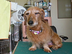 conv0048.JPG