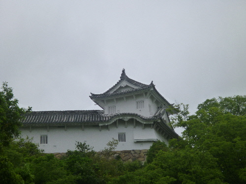 P1100935(1).JPG