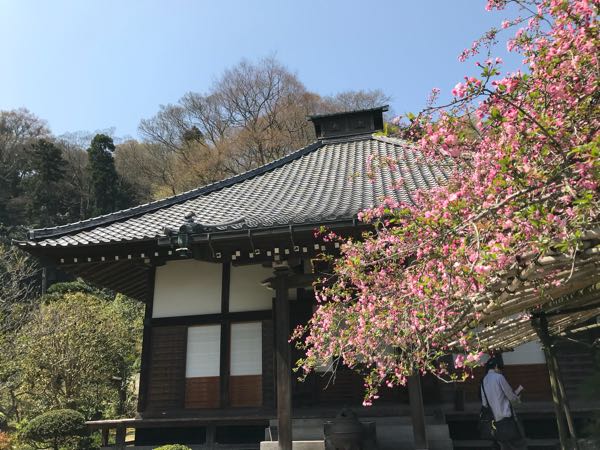 rblog-20180329182739-04.jpg