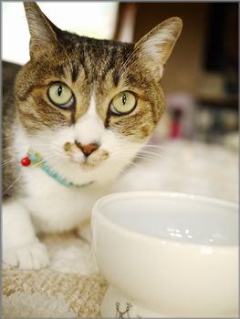 もう今日は登場しないと思ったでしょ？
