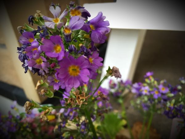 rblog-20160328172826-08.jpg